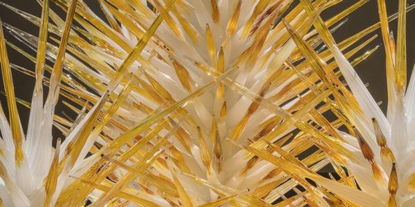 Dale Chihuly, Alabaster and Amber Spire Towers (detail), 2018, 10 x 10 x 9' © Chihuly Studio.  All Rights Reserved.  " 