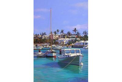 Image Information: Tomm Swimm “Colors of Bermuda”