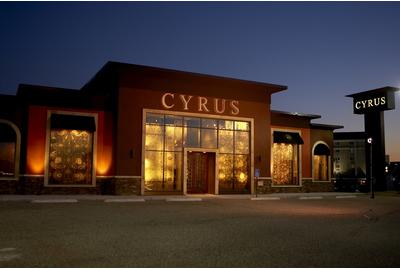 Cyrus Artisan Rugs Showroom