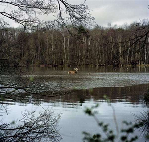 Céline Anaya Gautier, Halali - Chasse à Courre - À La Croisée Des Mondes, Photograph on Fine Art Paper, 16'' x 24''