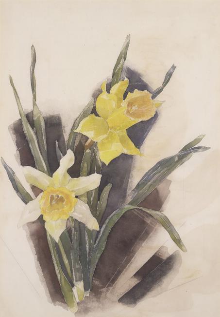 Charles Demuth, Daffodils, date illegible, watercolor and graphite on paper, Collection of the Demuth Museum, Lancaster, PA