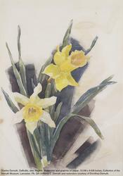 Charles Demuth, "Daffodils," date illegible, Watercolor and graphite on paper, 13-3/8 x 9-3/8 inches, Collection of the Demuth Museum, Lancaster, PA, Gift of Henry C.  Demuth and restoration courtesy of Dorothea Demuth.