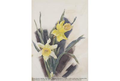 Charles Demuth, "Daffodils," date illegible, Watercolor and graphite on paper, 13-3/8 x 9-3/8 inches, Collection of the Demuth Museum, Lancaster, PA, Gift of Henry C.  Demuth and restoration courtesy of Dorothea Demuth.