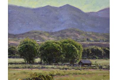 Dan Young's, "June Morning," Oil on Panel, 14″ x 18″ 