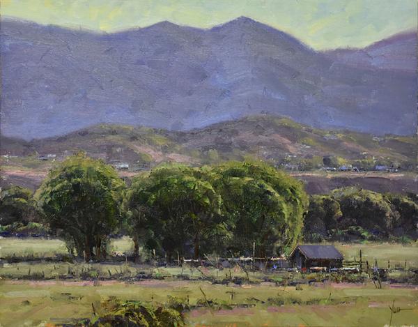 Dan Young's, "June Morning," Oil on Panel, 14″ x 18″ 