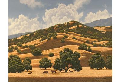 Dave DeMatteo "Santa Ynez Valley"