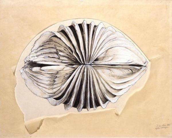 Jay DeFeo, After Image, 1970.  (c) Estate of Jay DeFeo / Artists Rights Society (ARS), New York.