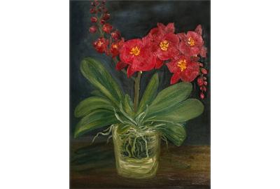 Dora Duran,Orchid, Oil on Canvas, 24'' x 18''