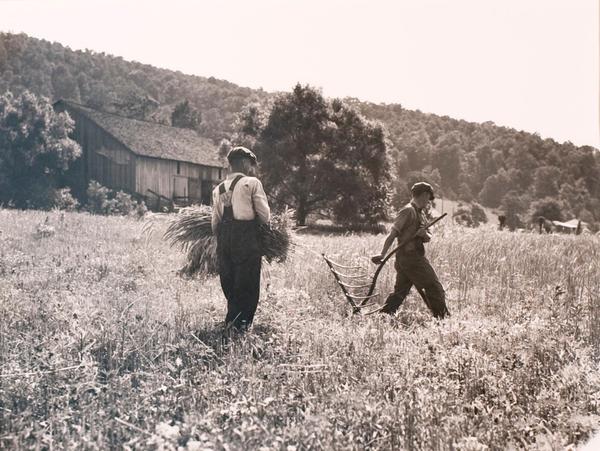 Dorothea Lange (American, 1895 - 1965) Men Cradling Wheat, Near Sperryville, Virginia , June 1936 Gelatin - silver print 1984 Museum purchase, Horace W.  Goldsmith Fund 