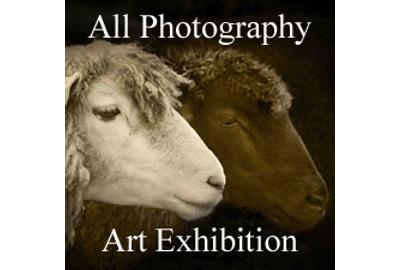 All Photography Art Exhibition