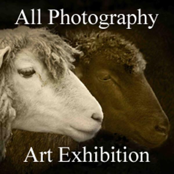 All Photography Art Exhibition