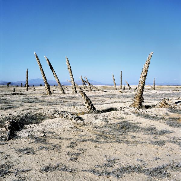 Anthony Hernandez (b.  1947) Lucerne Valley, California, 2012–15.  Inkjet print.  © Anthony Hernandez Private collection