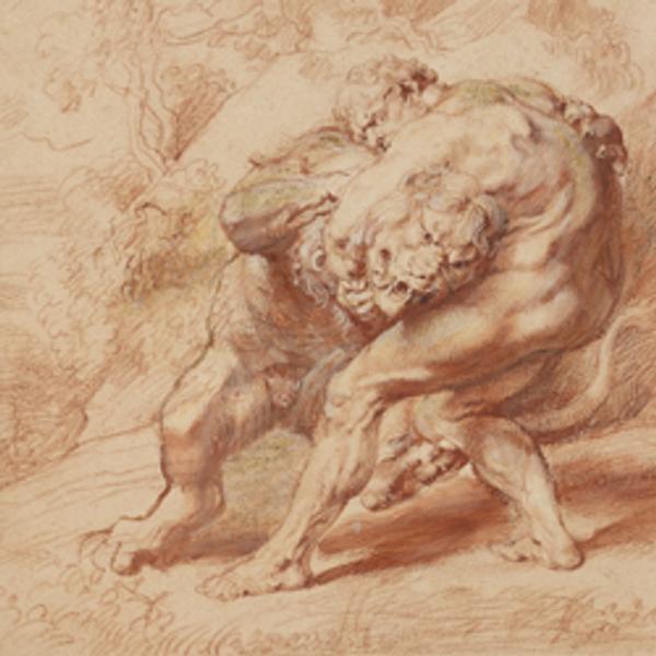 PETER PAUL RUBENS, HERCULES STRANGLING THE NEMEAN LION c.  1620.  Red, yellow, and black chalk, brush and red ink, and gouache on paper.  The Clark, 1955.992