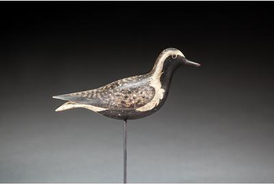 Lothrop Holmes (1824-1899), Black-Bellied Plover, c.  1880, Sold for $144,000