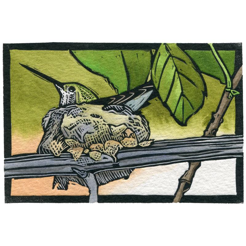 Sherrie York, “Home Sweet Home,” Hand Painted Linocut, 4 x 6 inches.  (Hummingbird in nest)