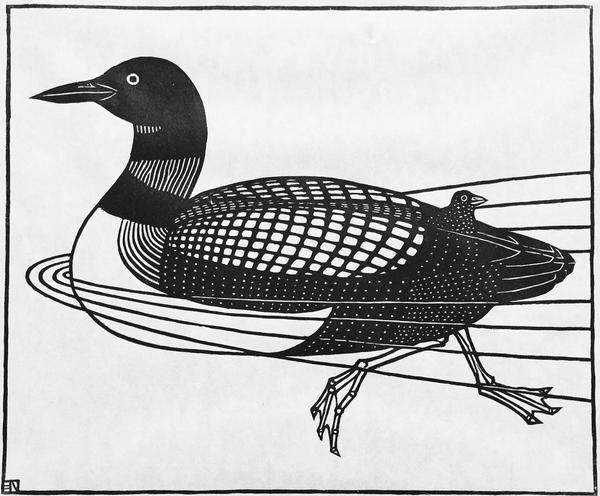 Jacques Hnizdovsky, Loon, 1985, woodcut.  © 2019, Jacques Hnizdovsky: Artists Rights Society (ARS), New York.jpg