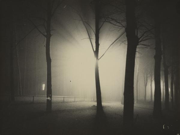 Lyonel Feininger, Untitled (Night View of Trees and Streetlamp, Burgkühnauer Allee, Dessau), 1928.  Gelatin silver print.  Gift of T.  Lux Feininger, Houghton Library, Harvard University, MS Ger 146.4 (291).  Photo: Houghton Library, Harvard University.