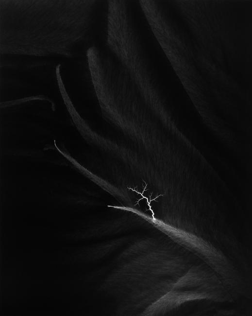 Hiroshi Sugimoto, Lightning Fields 182, 2009, © Hiroshi Sugimoto, courtesy The Pace Gallery.