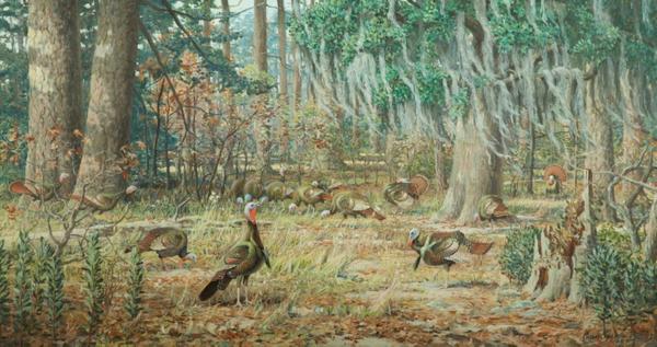 Louis Agassiz Fuertes’ (1874-1927) oil of wild turkey sparked highly competitive bidding to a final price of $86,250, double the high estimate of $40,000, and nearly triple the artist’s previous record.  