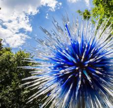  Dale Chihuly, Sapphire Star, 2010 © Chihuly Studio