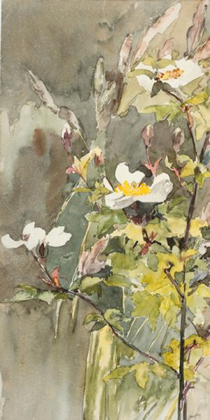 Wildflowers, not dated.  Barbara Leigh Smith Bodichon (1827–1891).  Watercolor and graphite on wove paper, 11 9/16 × 8 3/4 inches.  Delaware Art Museum, Acquisition Fund, 2017.