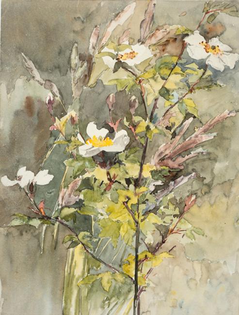 Wildflowers, not dated.  Barbara Leigh Smith Bodichon (1827–1891).  Watercolor and graphite on wove paper, 11 9/16 × 8 3/4 inches.  Delaware Art Museum, Acquisition Fund, 2017.