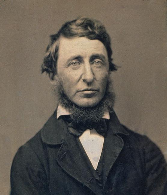 Benjamin D.  Maxham (1821–1889), Henry David Thoreau, 1856, daguerreotype.  National Portrait Gallery, Smithsonian Institution; gift of an anonymous donor.