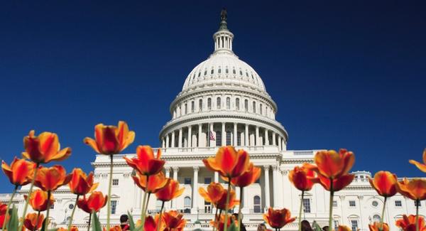 U.S.  Capitol