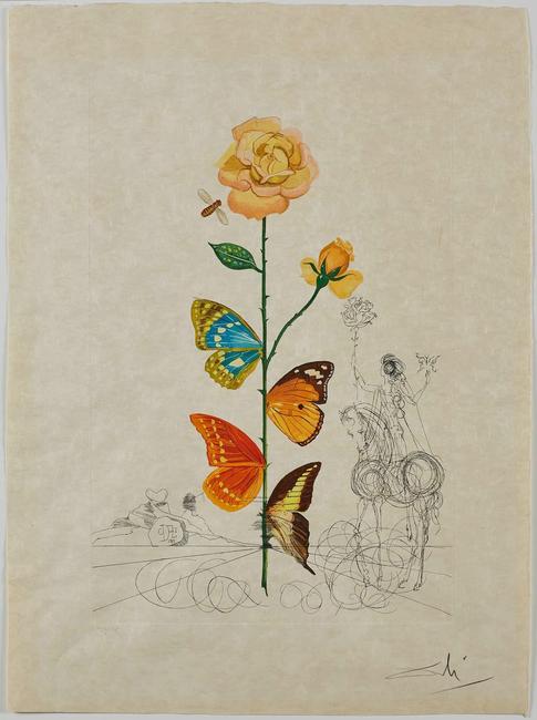 Salvador Dalí, Rosa papillonacea (Butterfly Rose), 1968.  Collection of The Dalí Museum, St Petersburg, FL (USA) 2019; © Salvador Dalí, Fundació Gala-Salvador Dalí, (ARS), 2019