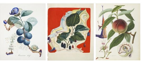 Fourteen original Salvador Dalí watercolour fruit studies sold for the total of £726,700.