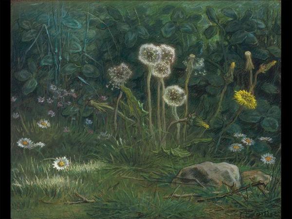 Jean-François Millet, Dandelions, 1867–68.  Pastel on tan wove paper.  Gift of Quincy Adams Shaw through Quincy Adams Shaw, Jr., and Mrs.  Marian Shaw Haughton.