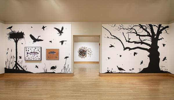 Installation view of works by James Prosek and Courtney Mattison, in 'Fragile Earth' at the Florence Griswold Museum.