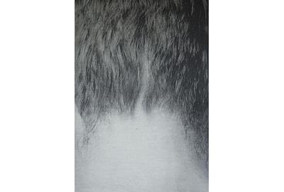 Kristina Daukintyte Aas, Pelt I, Jacquard Woven Textile, 53.9'' x 37.8''