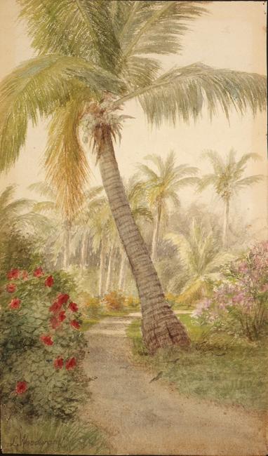 Laura Woodward (American, 1834-1926) Path with palm and blossoms, ca.  1890s.  Watercolor.  Flagler Museum, Palm Beach, Florida.