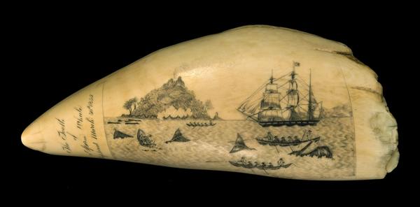 Scrimshaw whale's tooth by W.L.  Roderick, sold for $180,000 at Eldred's Marine Art Auction on Saturday.