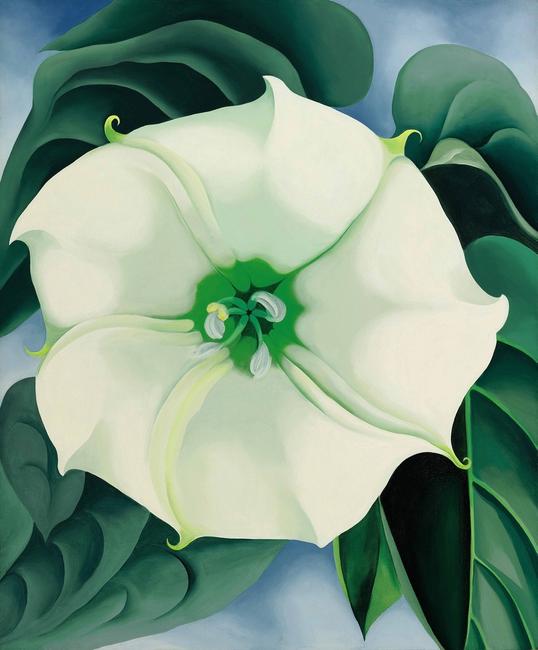 Georgia O’Keeffe, Jimson Weed/ White Flower No.  1, 1932.  Oil on canvas.  48 x 40 in.  