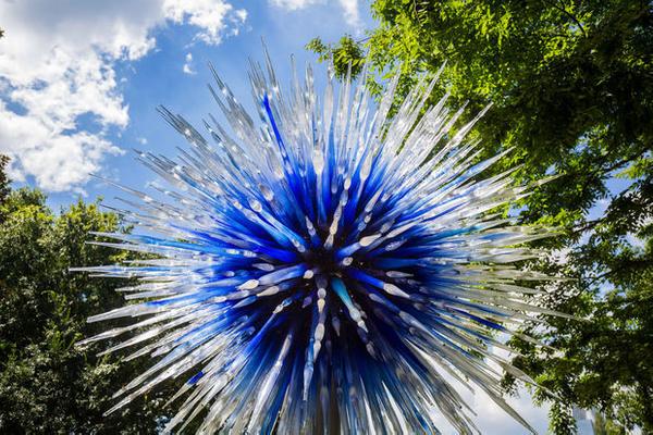 Dale Chihuly, Sapphire Star, 2016