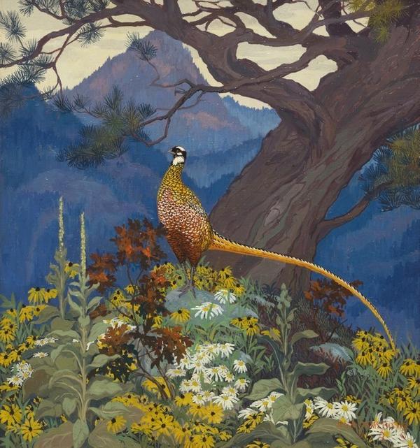 Jessie Arms Botke, Pheasant, 1920 Signed lower right, “Jesse Arms Botke, 1920” oil on panel 23 x 21 ½ in.  11493 