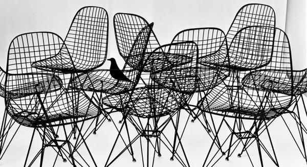 Charles and Ray Eames Wire Chairs with Birds, 1953.  © Eames Office LLC Photo: Charles Eames 