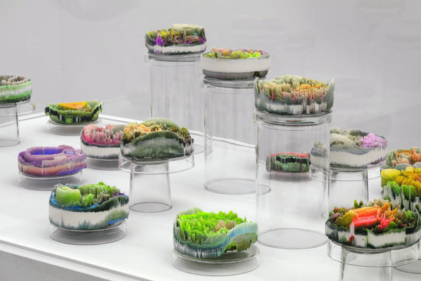 Suzanne Anker (b.  1946), Remote Sensing: Micro-Landscapes (detail), 2013–17, plaster, pigment, resin in 24 Petri dishes, each 4 x 4 x 2”.  Courtesy of the artist.