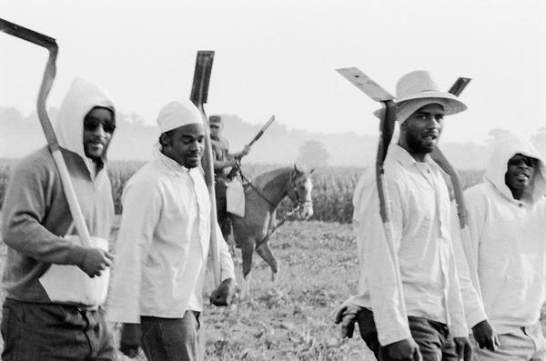 Chandra McCormick.  Men going to work in the fields of Angola, 2004.  Gelatin silver print.  Courtesy of the artist.  © Chandra McCormick 