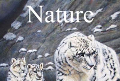 Nature Online Art Competition