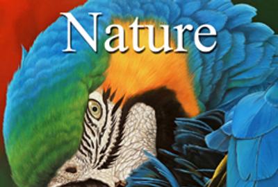 6th Annual "Nature" Online Art Exhibition