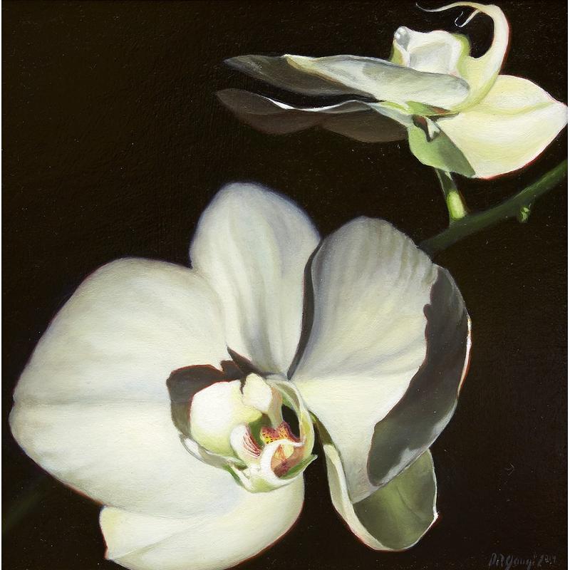 Nicora Gangi, "Orchid Delight", 2014.  Oil on board.  10 x 10 inches.  Signed 