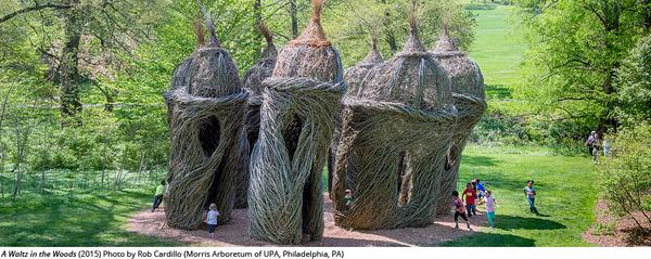 A Waltz in the Woods (2015) Morris Arboretum of UPA, Philadelphia, PA.  photo: Rob Cardillo 