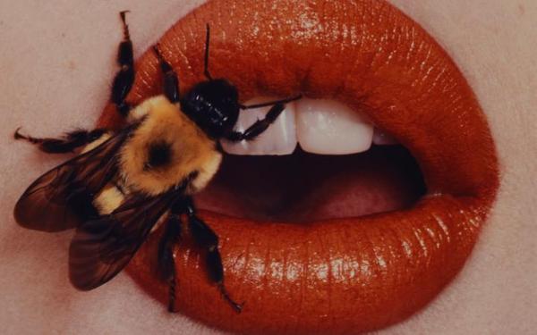 IRVING PENN, BEE, NEW YORK, 1990 CREDIT: IRVING PENN FOUNDATION/CONDE NAST