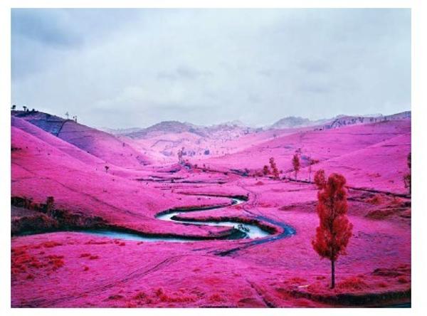 Richard Mosse.  Platon, 2012.  Digital C-Print, Edition 1 of 5, with 1 AP, 40 x 53.5 in.  ©Richard Mosse.  Courtesy of the artist and Jack Shainman Gallery.