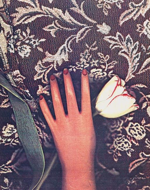 Lesley Schiff (b.  1951), Flower in Hand, 1981, from the series Seasons, 1980-81.  Color photocopy, 10 1/2 x 8 1/2 in.  (26.7 x 21.6 cm).  Whitney Museum of American Art, New York; gift of Judith Goldman 2004.3.9 