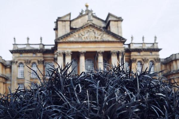 Jenny Holzer at Blenheim Palace