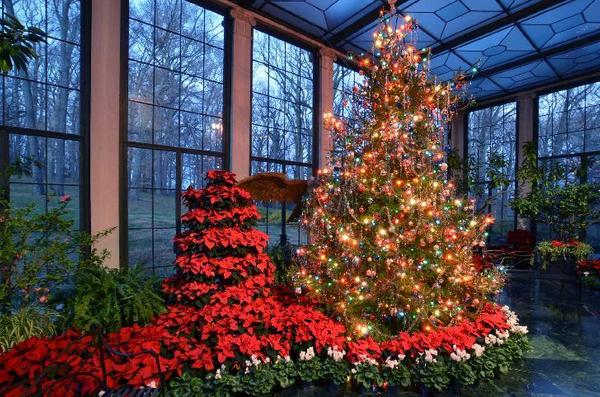 A giant, live Christmas tree is featured every year at Yuletide at Winterthur, continuing a favorite tradition of founder Henry Francis du Pont.  